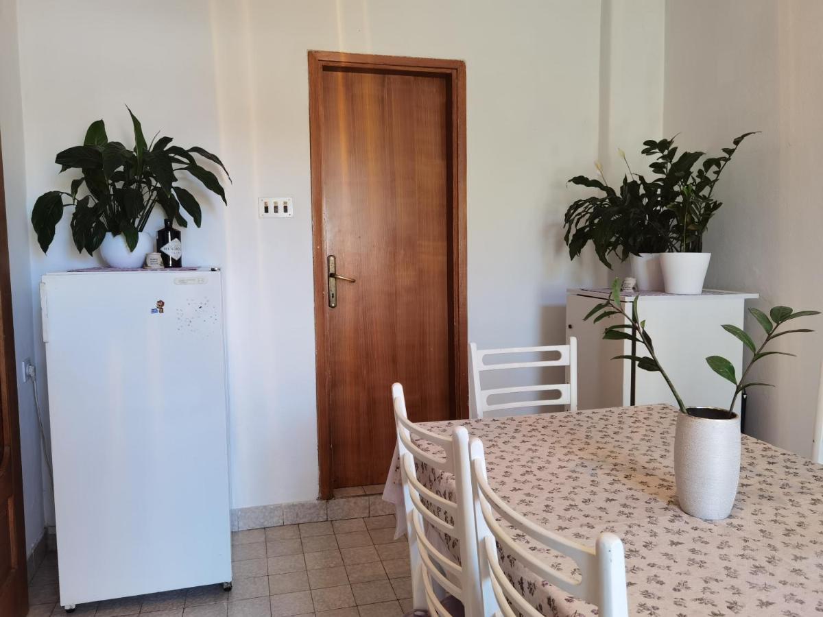 Apartment Ivo